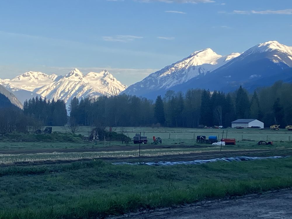Snow-capped mountains above the Pemberton Valley farmland