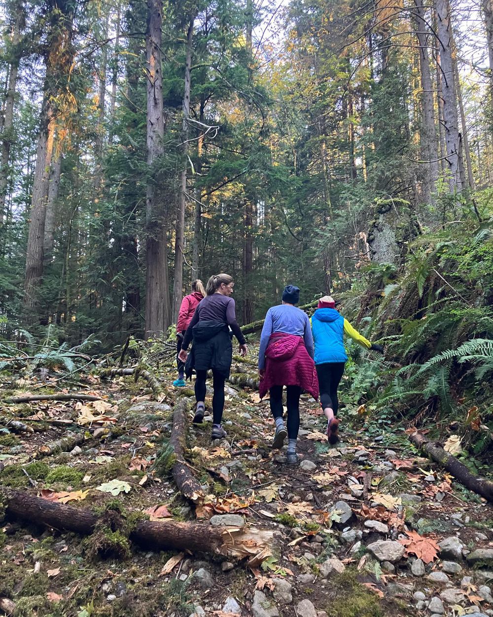 The group heading up a forest trail on the North Shore