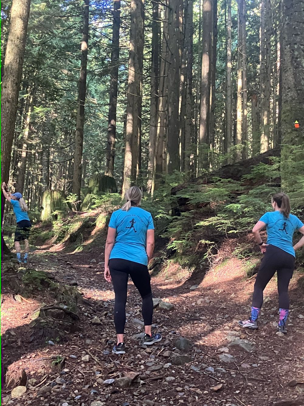 Trail runners moving through tall cedars